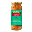 PICKLES MOLTO FCO. 200 gr ( u x b 12)